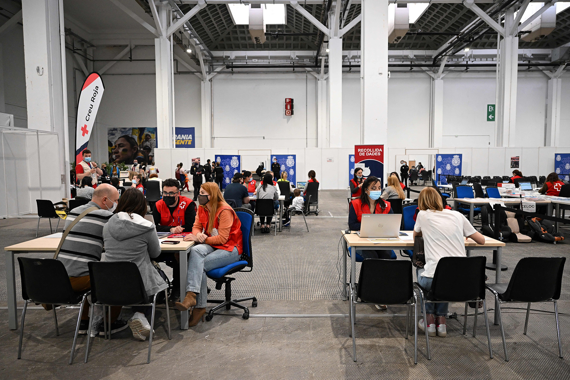 Курси мови і робота. Як українські біженці облаштувалися в Іспанії